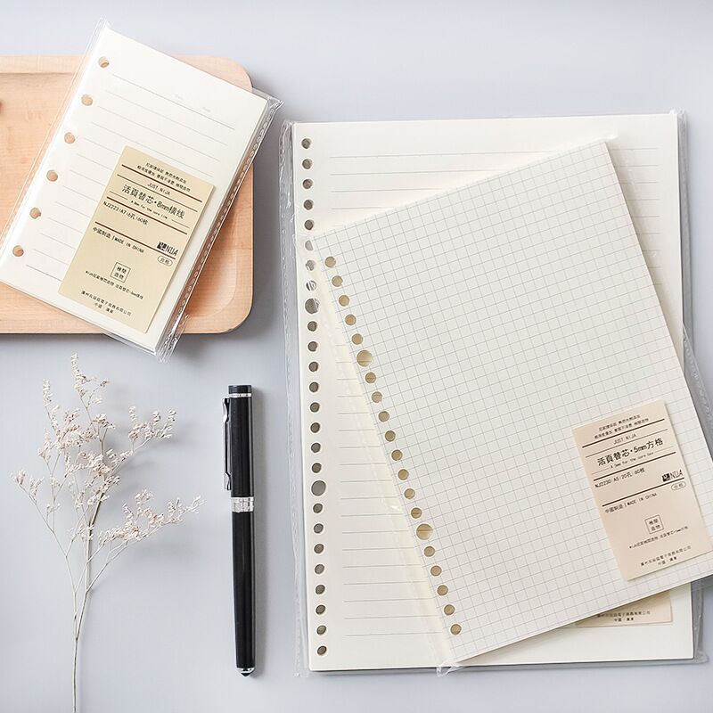 A5 B5, линейная сетка, 20 отве – обзор и цена Notebook Dotted A5